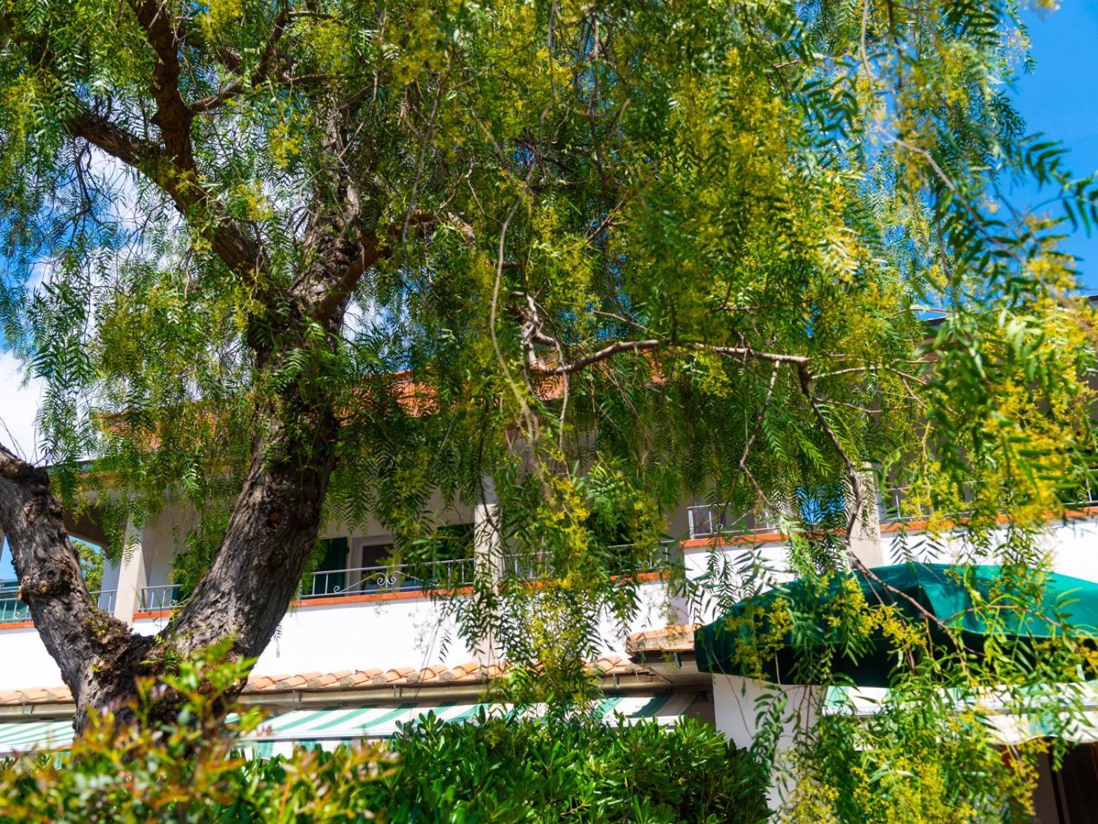 Residence Augusto Capoliveri  Esterno foto